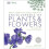 RHS Encyclopedia of Plants and Flowers 1