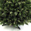 (Scots Pine, 220 cm) DWA LUXURY TRADITIONAL CHRISTMAS TREE Bushy Branches 3