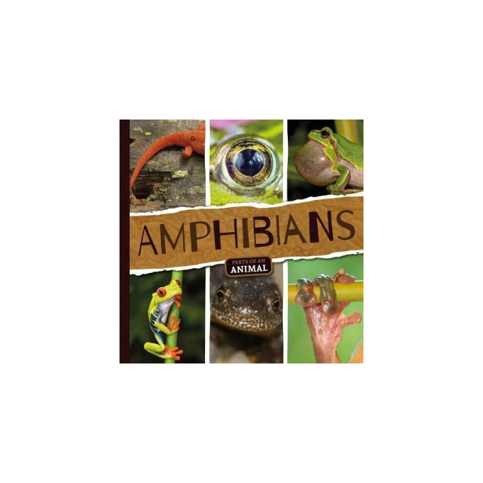 Amphibians