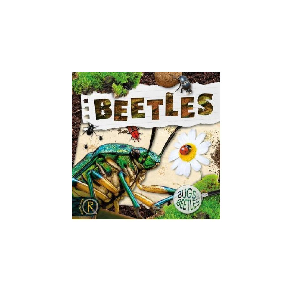 Beetles