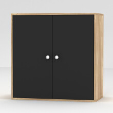 (Oak, With Black Door) 2-Tier Wooden Storage Cupboard