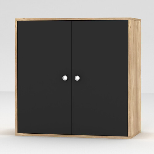 URBN Living (Oak, With Black Door) 2-Tier Wooden Storage Cupboard