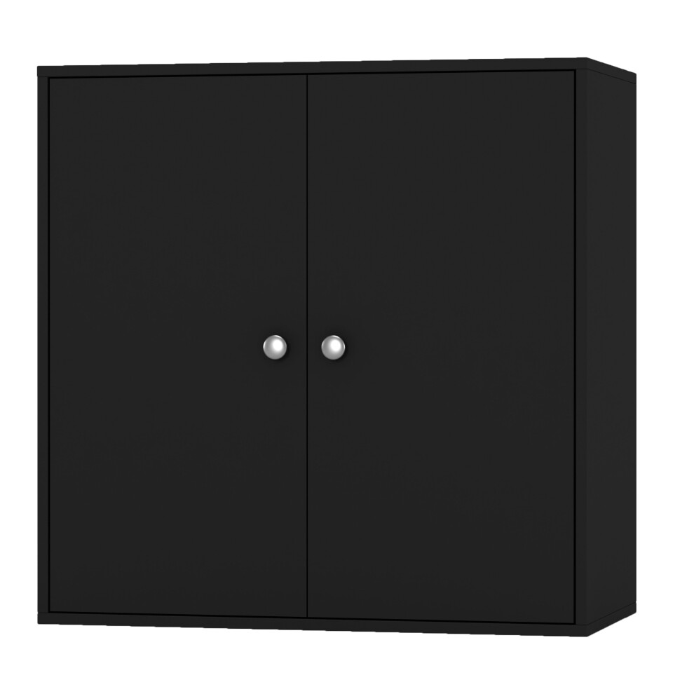 (Black, With Black Door) 2-Tier Wooden Storage Cupboard