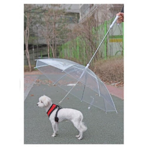 Shade umbrella for store dogs