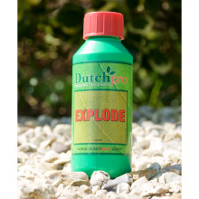 DUTCH PRO EXPLODE 250ML