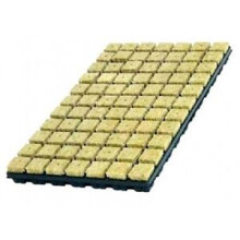 GRODAN 77 TRAY OF STARTER CUBES X 77 PLUGS
