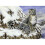 Junior Large Paint By Number Kit 15.25"X11.25"-Alpine Royalty 1