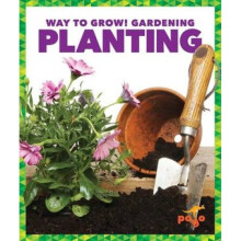 Planting