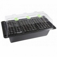 X-Stream Propagator / 80 SITE / XSTREAM NUTRICULTURE PROPAGATOR 80