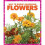 Flowers 1