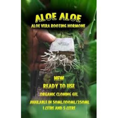 ALOE ALOE 100% ORGANIC CLONE GEL 100% NATURAL WOW  100ML