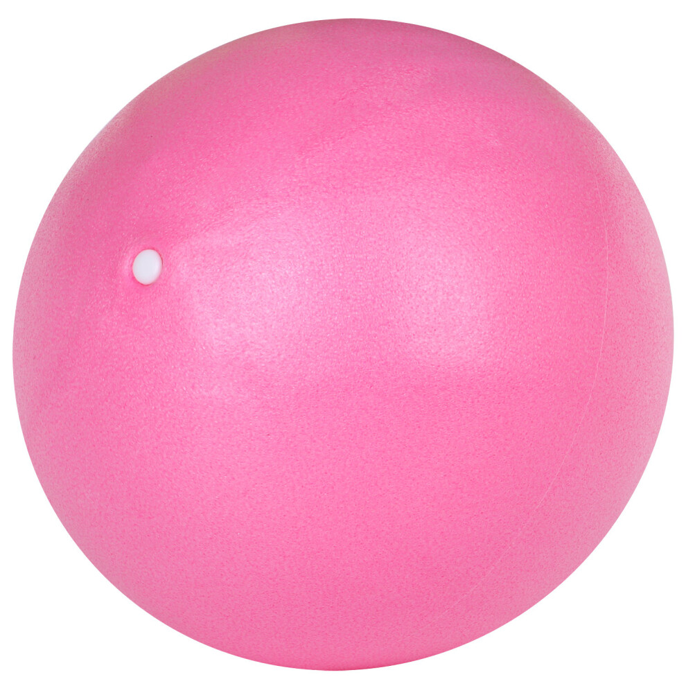 Trixes Pink Pilates Exercise Ball