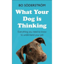What Your Dog Is Thinking