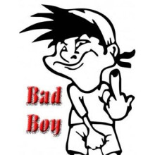 (100ML WITH GRINDER ) BUD ROT STOP/bad boy 100ML - BOTRYTIS - free grinder HYDROPONICS
