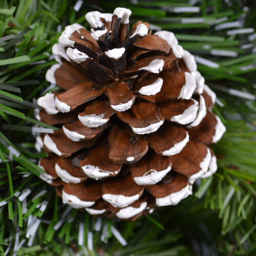 60cm Snow King Fir Green Christmas Wreath with Pine Cones 1