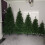 Snow Time 7ft New Duchess Spruce Hinged 980 Tips Green Christmas Tree 3