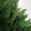 Snow Time 5ft New Duchess Spruce Hinged 446 Tips Green Christmas Tree 4