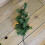 Premier 6 x 30cm LED Lit Premier Christmas Tree Path Lights (15 LEDs Per Tree) 5