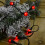 Premier 10 m 100 LED Premier Multi Action Utendørs Perle Julelys Rød 5