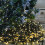 Premier Premier Warm White 1000 LED TreeBrights Christmas Lights With Timer Function - 25m 3
