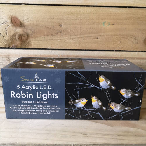 Snow Time Acrylic Indoor & Outdoor Robin Lights - Ice White 2