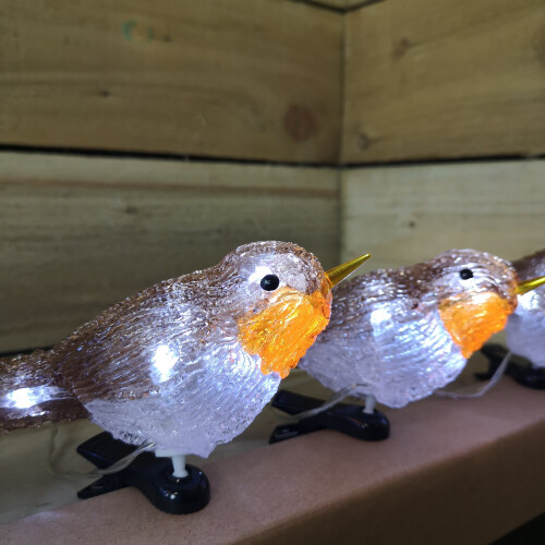 Snow Time Acrylic Indoor & Outdoor Robin Lights - Ice White 1