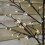 Premier Premier 1.5m Battery Cherry Blossom Tree - 96 Warm White LED Lights & Timer 2