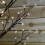 Premier Premier 1.5m Battery Cherry Blossom Tree - 96 Warm White LED Lights & Timer 3