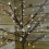 Premier Premier 1.5m Battery Cherry Blossom Tree - 96 Warm White LED Lights & Timer 5