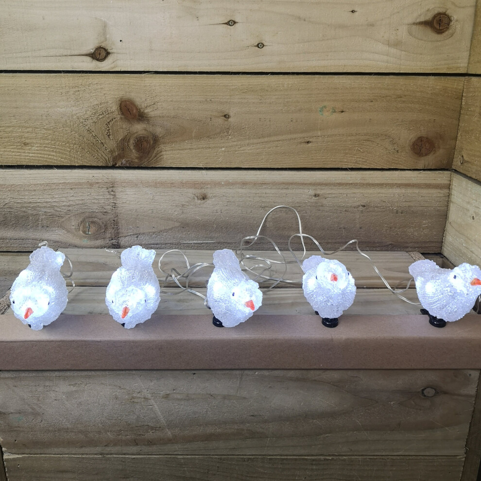 Premier Set Of 5 16Cm Indoor/Outdoor Acrylic Birds With Clip Leds White