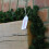 Samuel Alexander 2.7m (9ft) x 20cm Samuel Alexander Pine Christmas Garland Plain Green 3