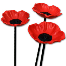 Natures Market BFPOPPY8 Box von 8 x Mohn Vogel Saatgut Sonnenblume Suet behandeln Mehlwurm Futterhäuschen oder Wasserschalen