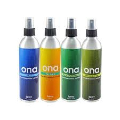 Ona Spray Apple Crumble x1