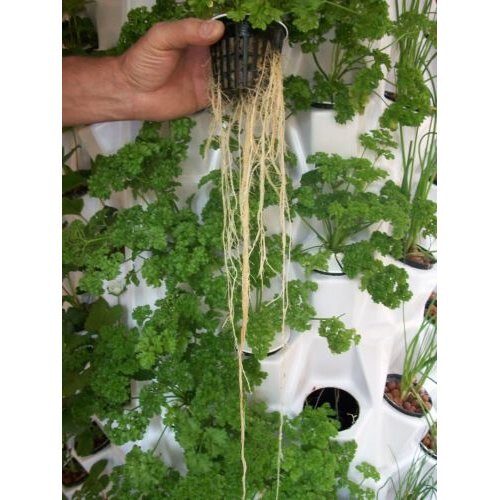GREEN DIAMOND GROWING SYSTEM AIROPONICS SYSTEM 1