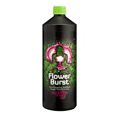 (250ml x1) Buddhas Tree - Flower Burst