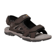 (7 UK, Peat/Parchment) Regatta Mens Holcombe Vent Sandals