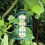 Natures Market BF008FB Squirrel Guard Hanging Fat Ball Feeder 2