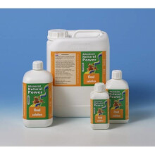 (1L x1) Advanced Natural Power Final Solution