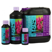 (100ml x1) Atami Blossom Builder