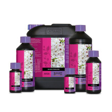 (5L x1) Atami B'cuzz Bloom Stimulator
