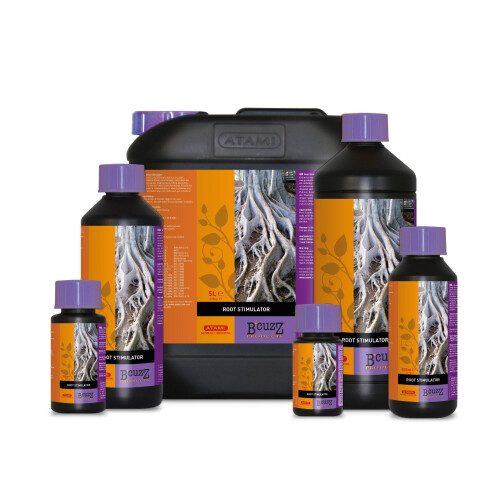 (1L x1) Atami B'cuzz Root Stimulator