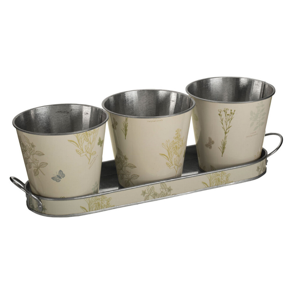 Set Of Three Jardin Pots On Oblong Tray