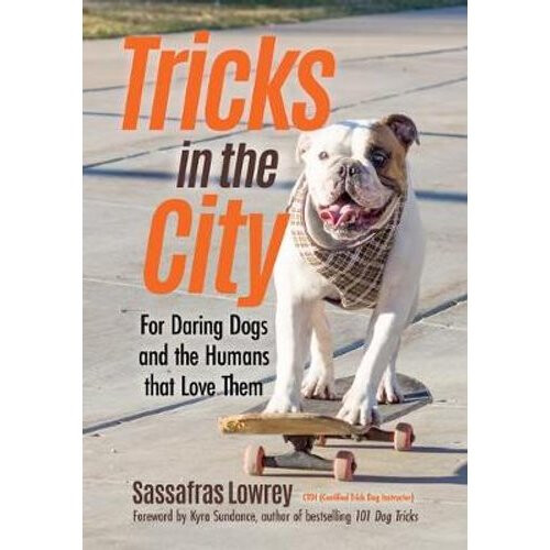 Tricks in the City