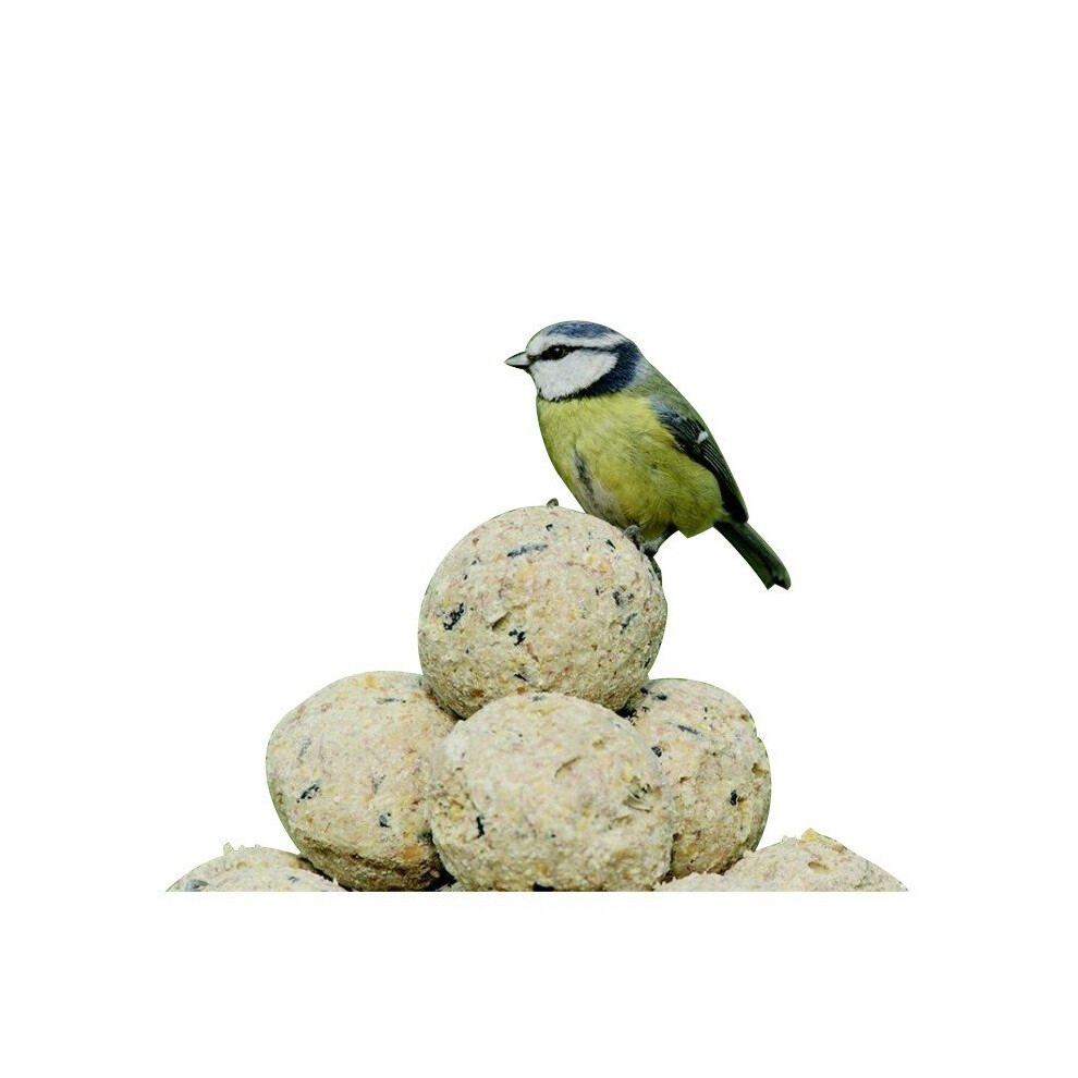 Rspb Super Suet Balls Bird Food (Pack of 50)