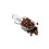 OXO Oxo Good Grips Pop Container Coffee Scoop Clear 4
