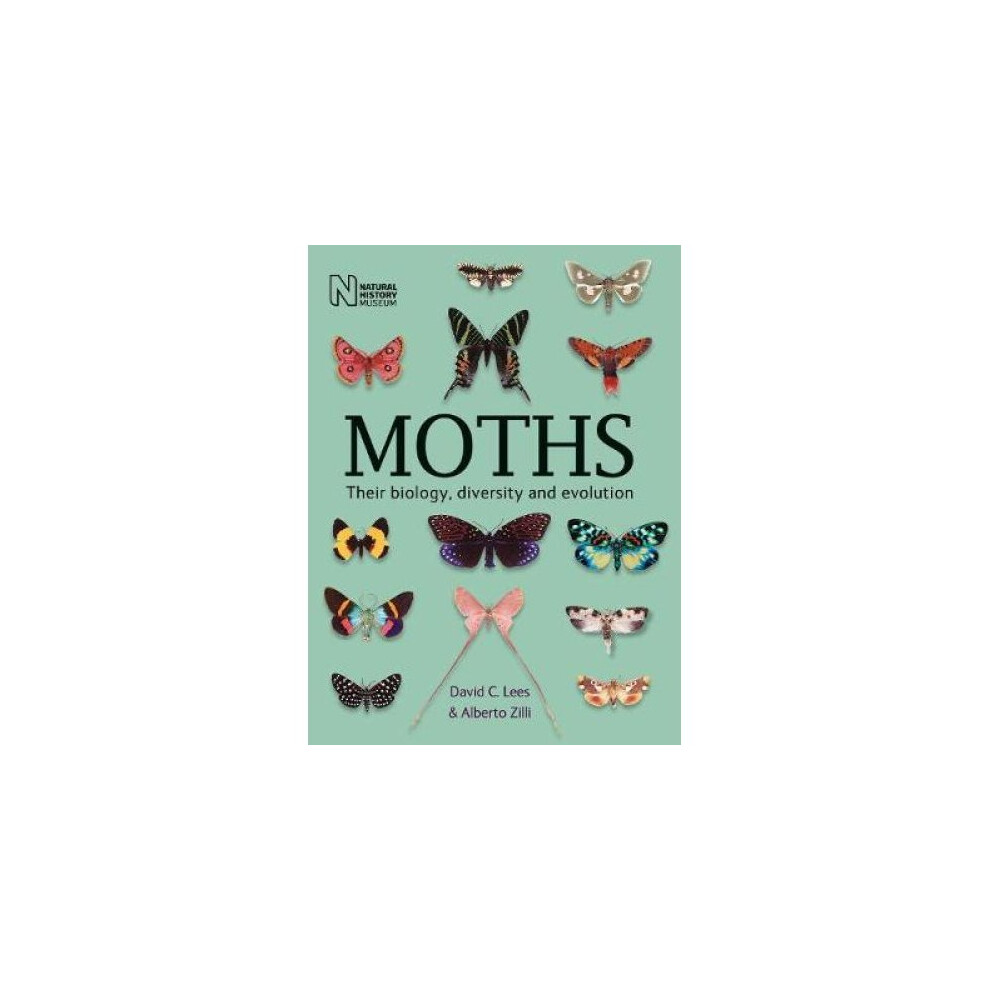 Moths