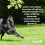 (10L) Pretty Pooch Gentle Touch Sensitive Dog Shampoo 9
