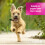 (10L) Pretty Pooch Gentle Touch Sensitive Dog Shampoo 7