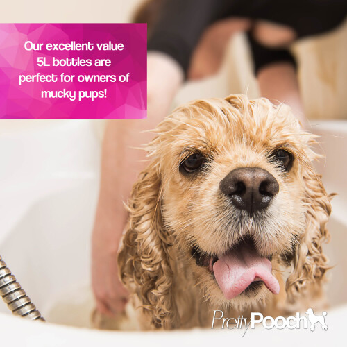 (10L) Pretty Pooch Gentle Touch Sensitive Dog Shampoo 2