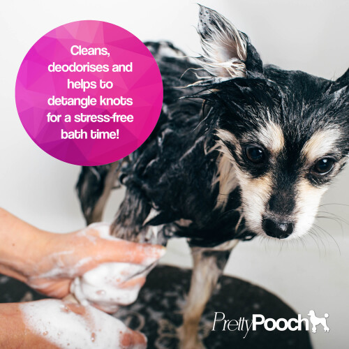 (5L) Pretty Pooch Animal Poo Shampoo & Deodoriser 1